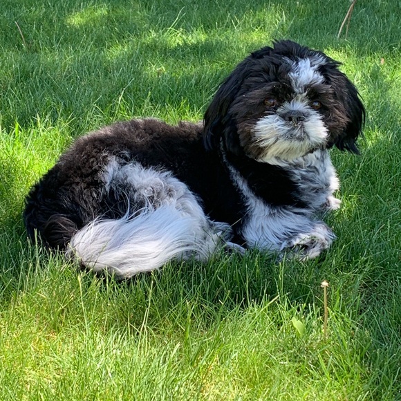 Hola🌴🌴!!! - Picture 6 of 6